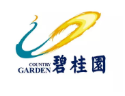 岱山碧桂园地产